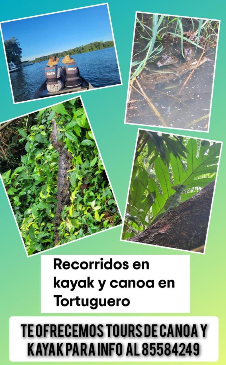 Apartamentos Caiman 3 Tortuguero Luaran gambar